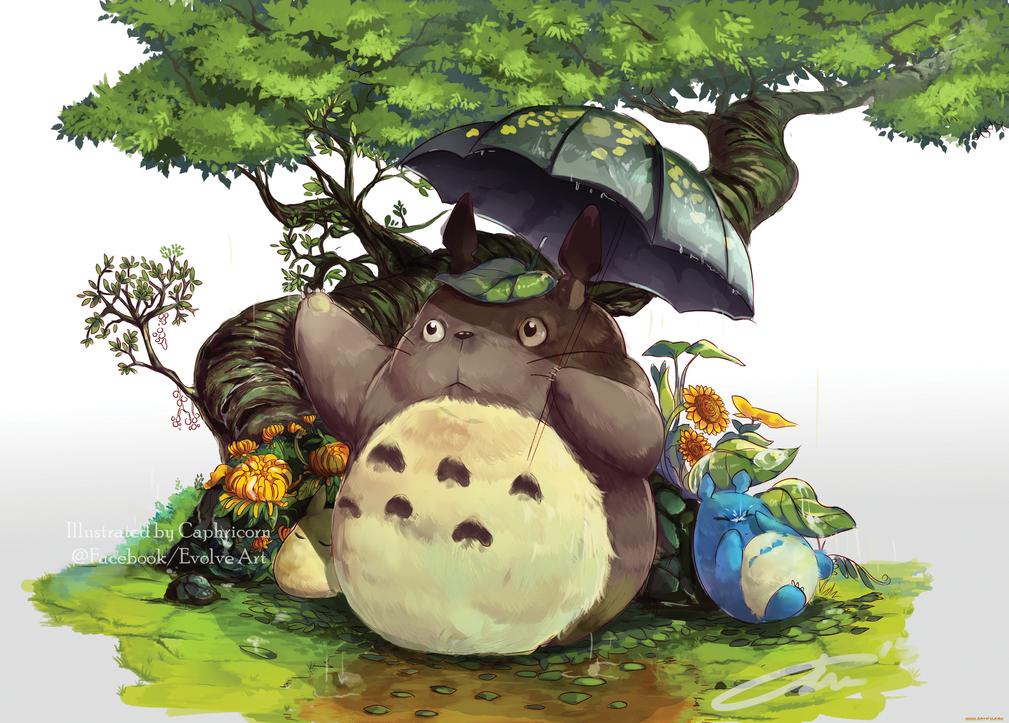 , ,  , , totoro, caphricorn, , , tonari, no